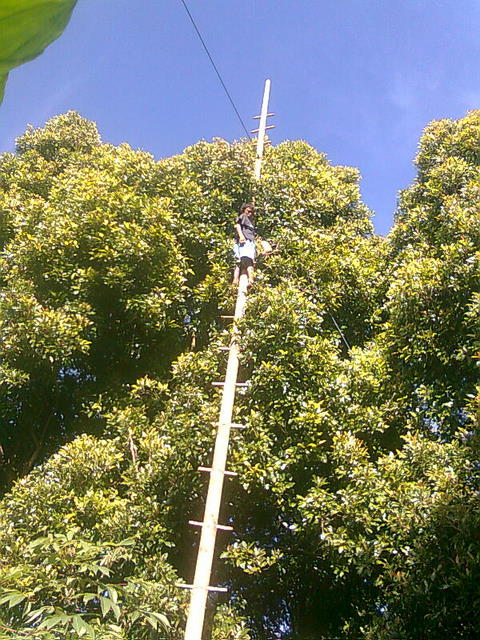 Gaji Buruh Petik Cengkih Setara Manejer